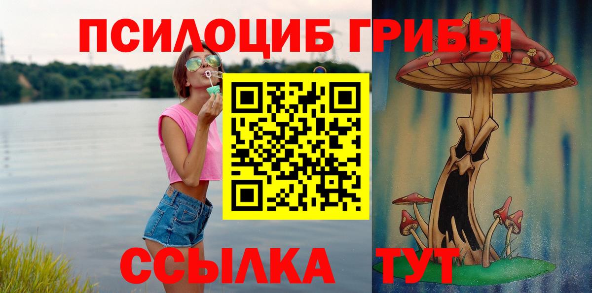 Галлюциногенные грибы Psilocybine cubensis  Вход с VPN  Галлюциногенные грибы мицелий  Нальчик 